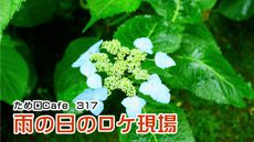 ため口Cafe
