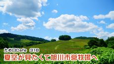 ため口Cafe