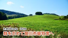 ため口Cafe