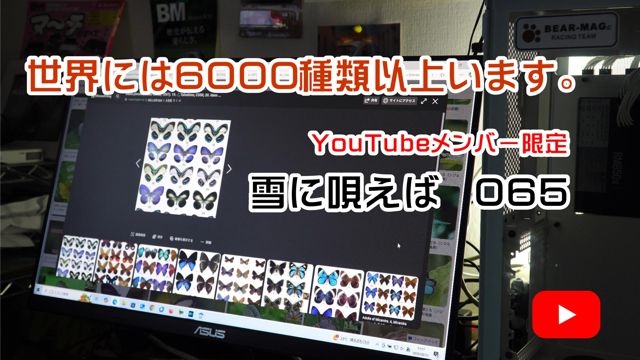 �Ȃ�ŃV�W�~�`���E�Ȃ́H