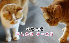 らせん猫テンカマ・チーカマ